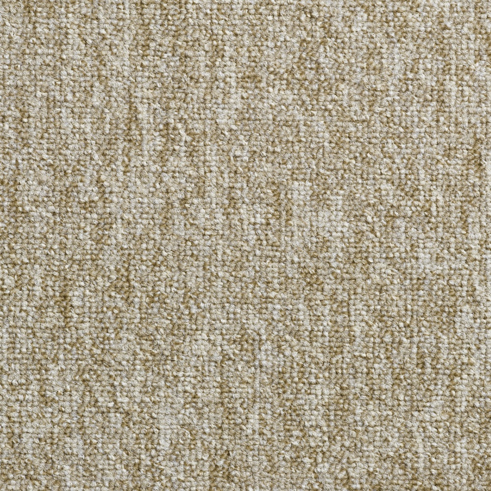 solid-72.jpg